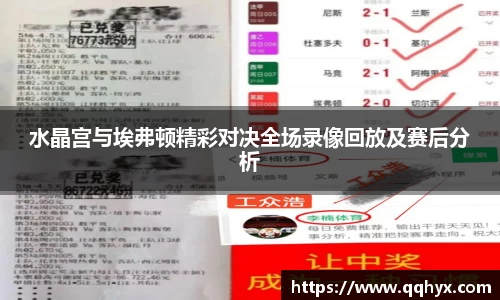 水晶宫与埃弗顿精彩对决全场录像回放及赛后分析